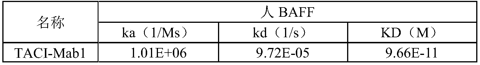 Figure PCTCN2022084256-appb-000089