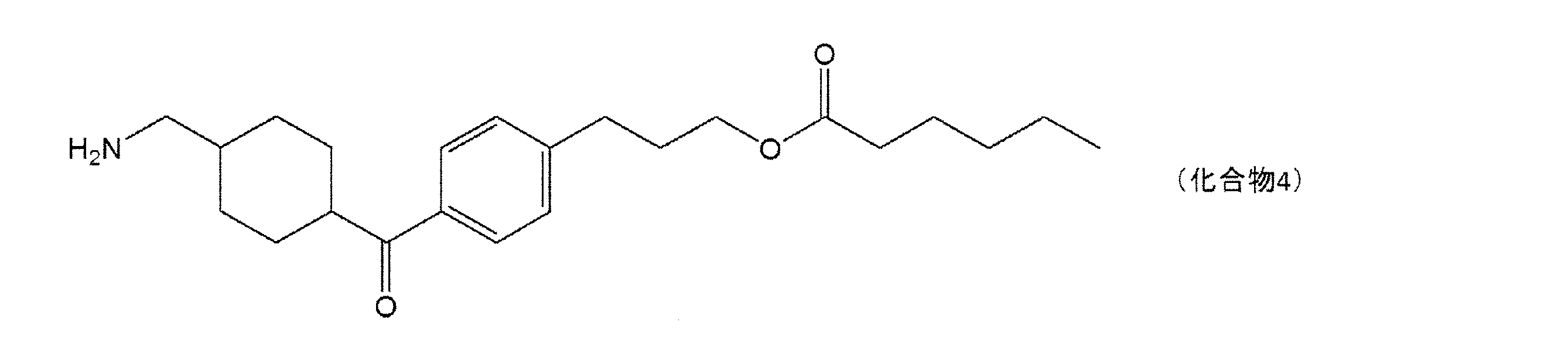 Figure 0007102658000013