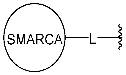 Figure imgf000114_0002