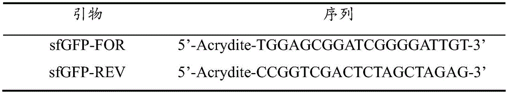 Figure BDA0002345904050000111