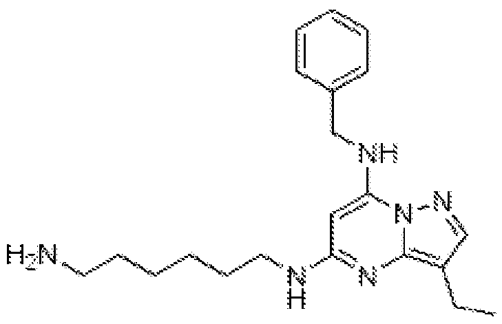 Figure imgf000181_0002
