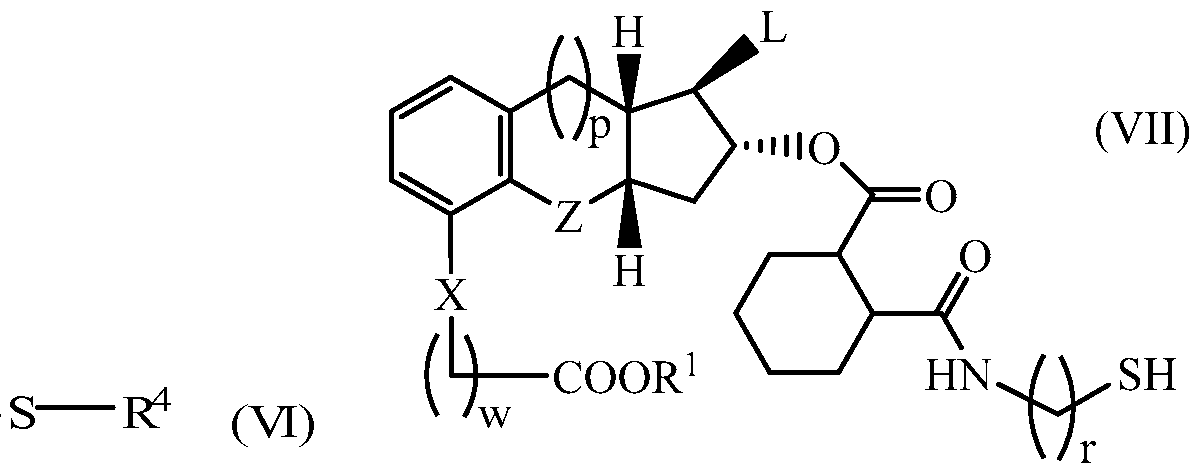 Figure imgf000008_0001