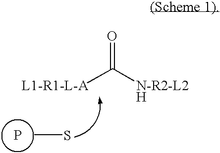 Figure US20100189658A1-20100729-C00001