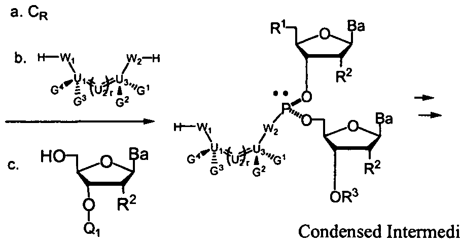 Figure imgf000022_0002