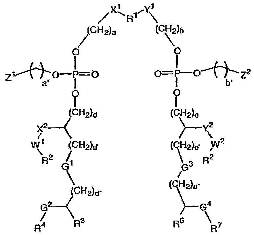 Figure imgf000006_0002