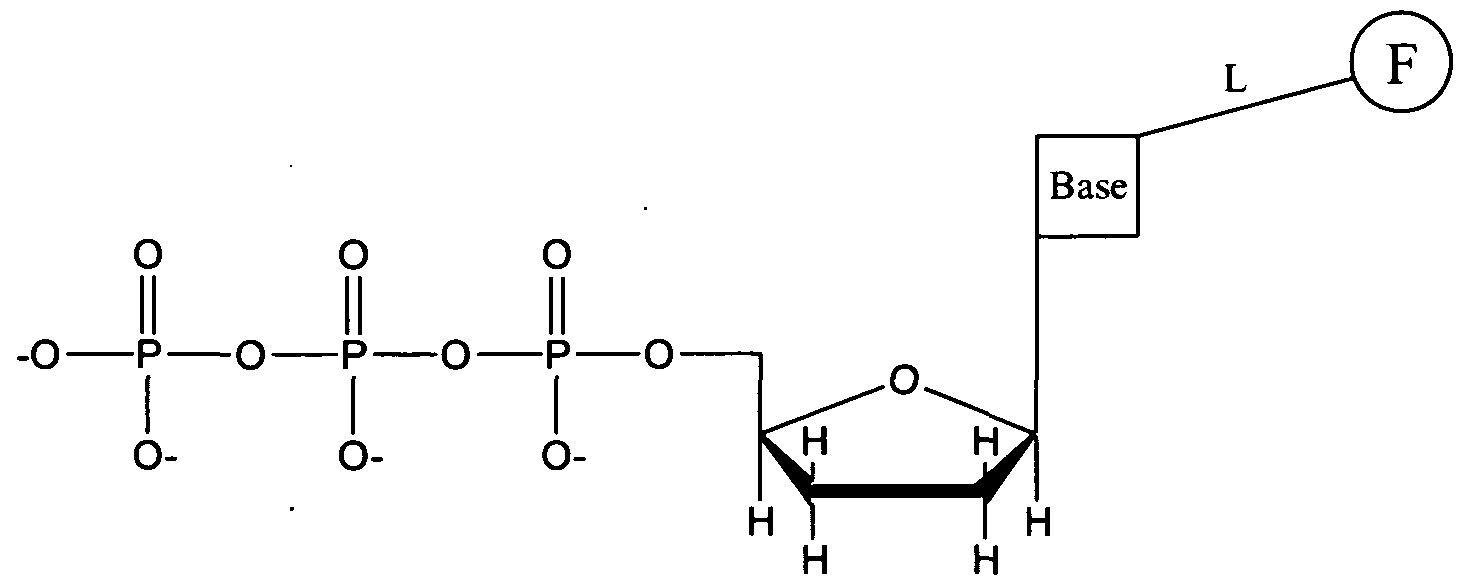 Figure imgf000107_0001