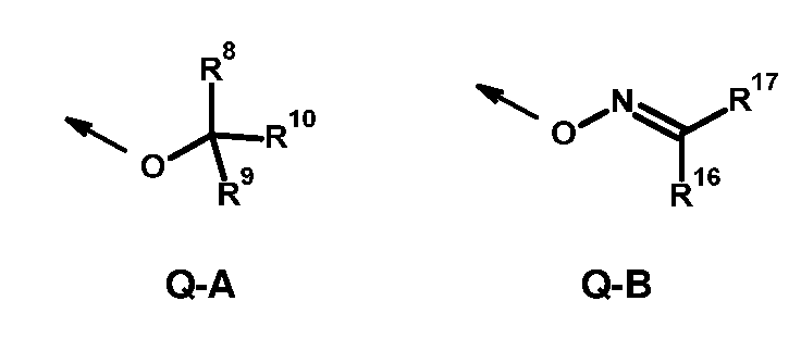 Figure imgf000012_0002
