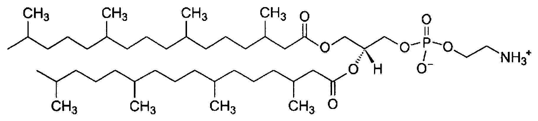 Figure DE202021003575U1_0006