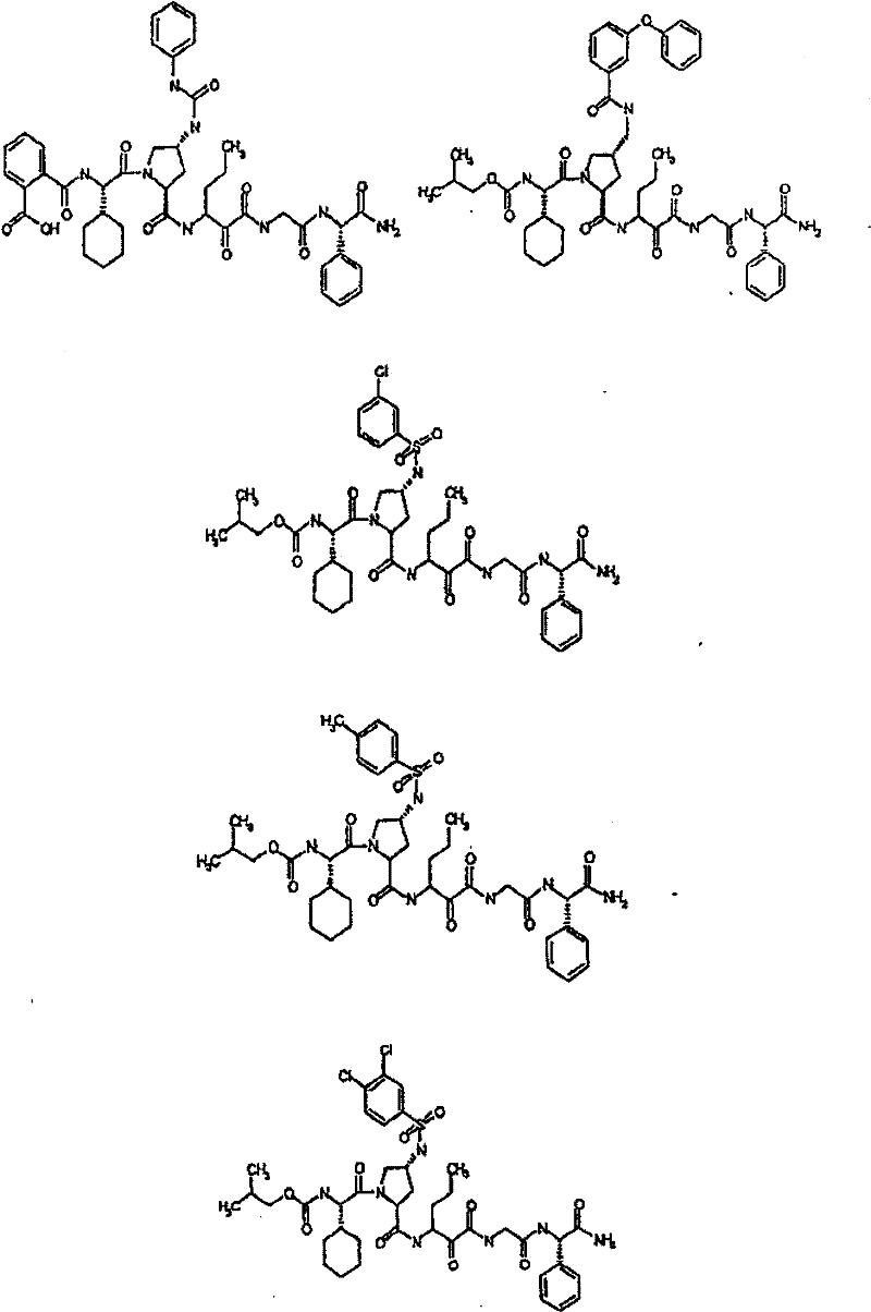 Figure BSA00000554725400701