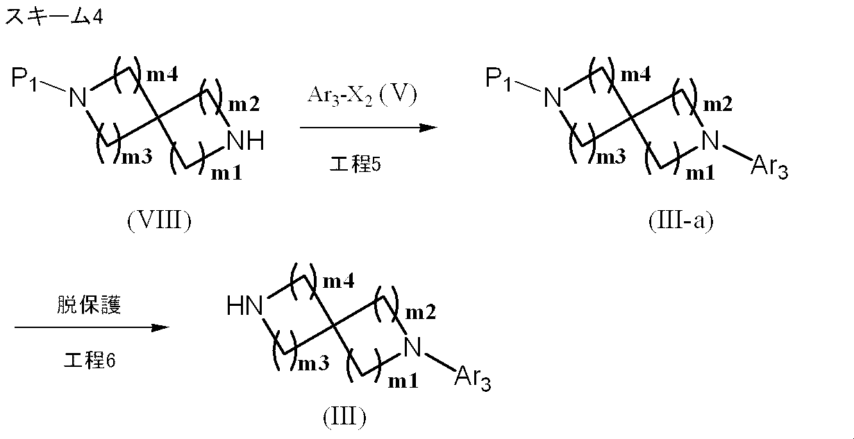Figure JPOXMLDOC01-appb-C000019