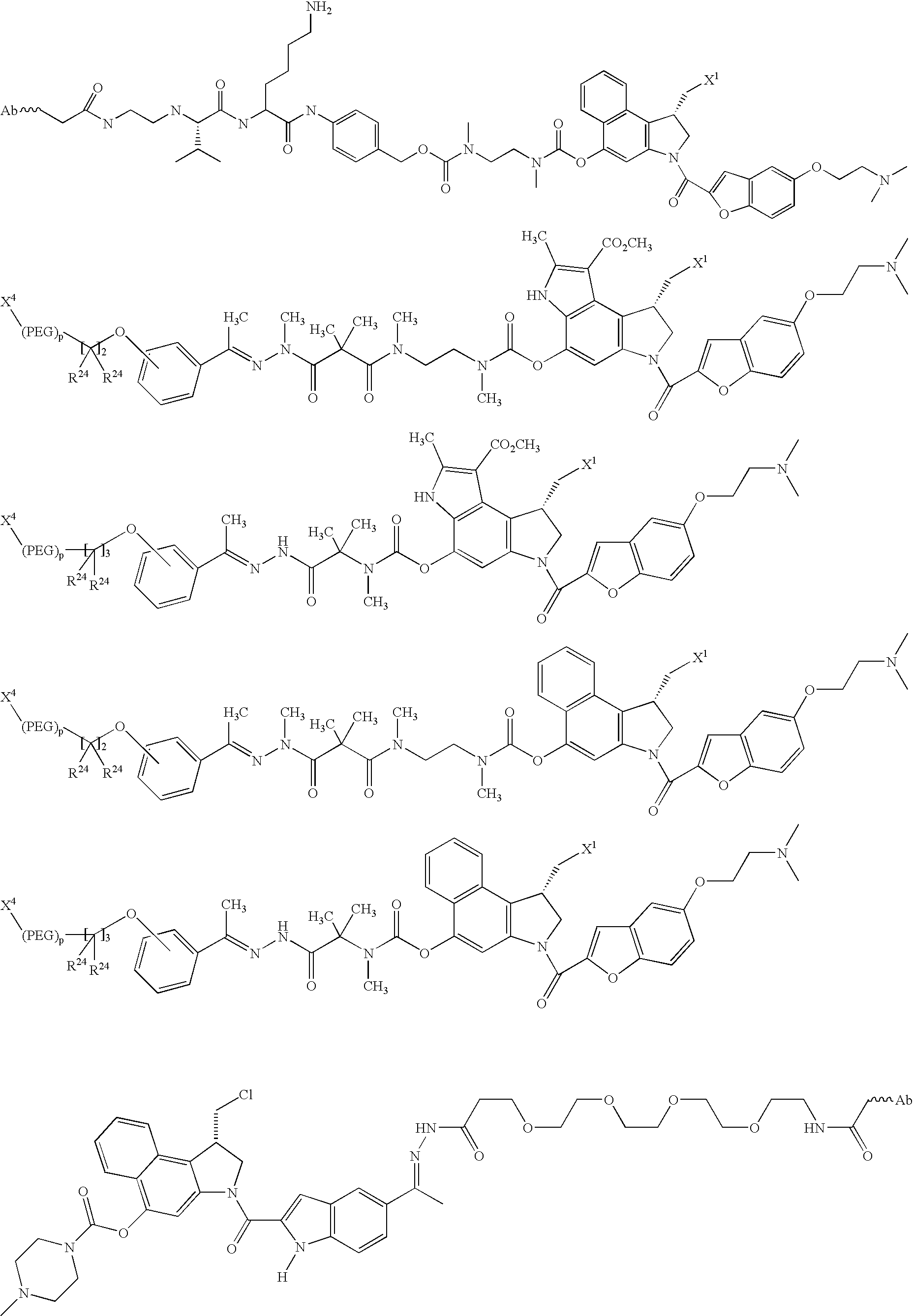 Figure US20080279868A1-20081113-C00142