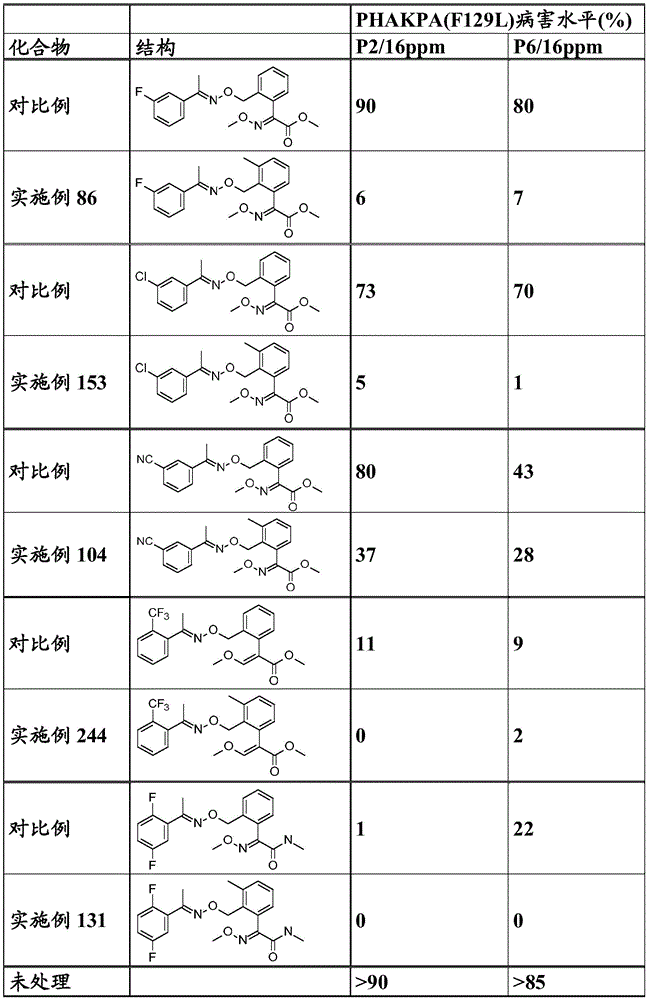 Figure BDA0003914530940001361