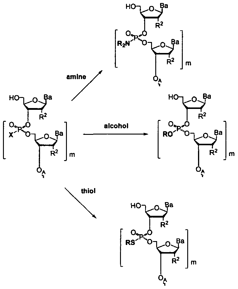 Figure imgf000043_0002