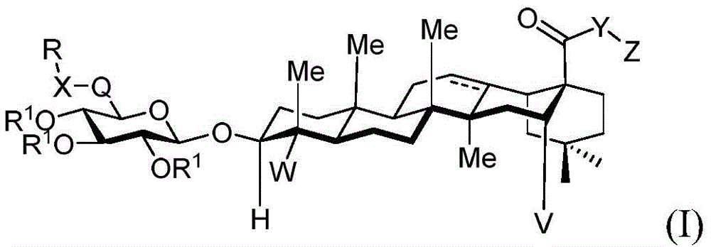 Figure FDA0003391153230000011