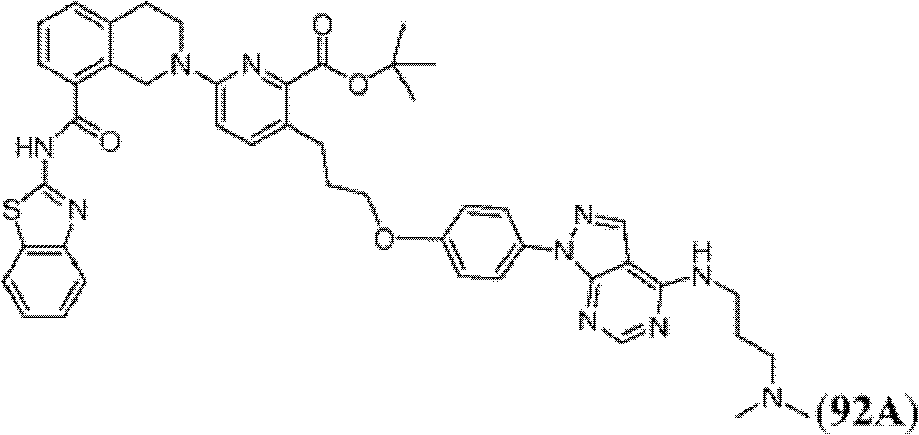 Figure BDA0000083236130002552