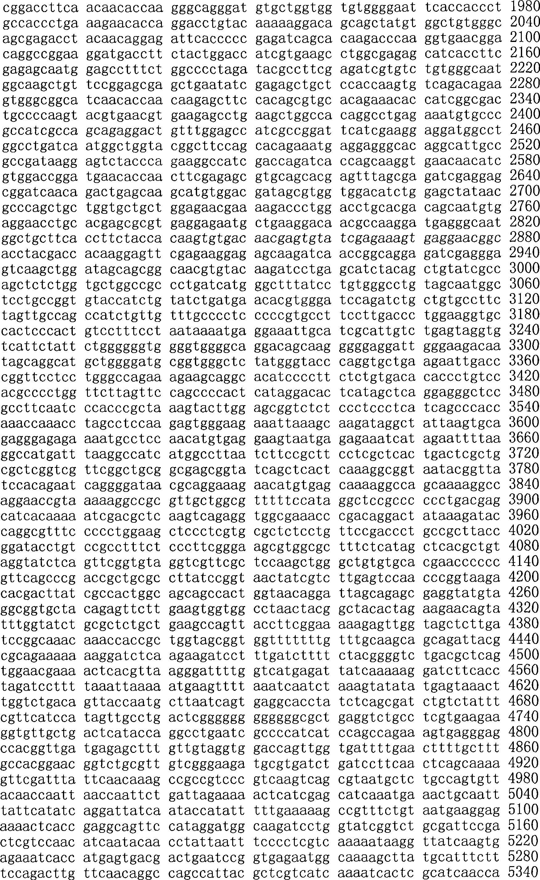 Figure A200780009494D01161