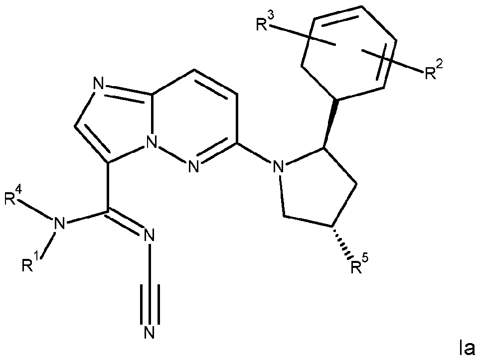 Figure imgf000005_0001