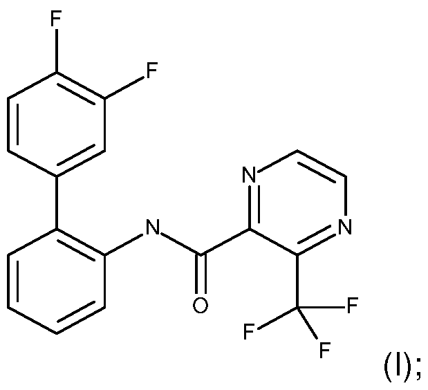 Figure imgf000006_0001