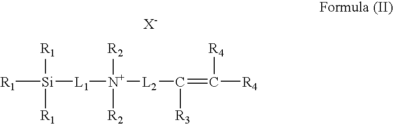 Figure US20070142583A1-20070621-C00003
