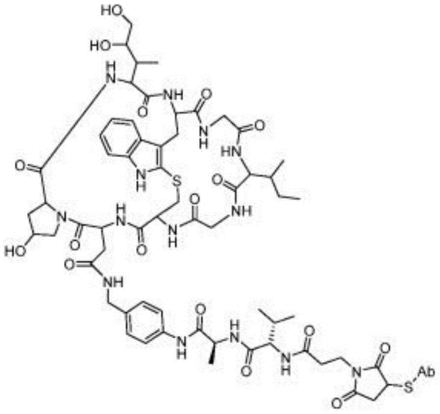 Figure BDA0003107814740001091