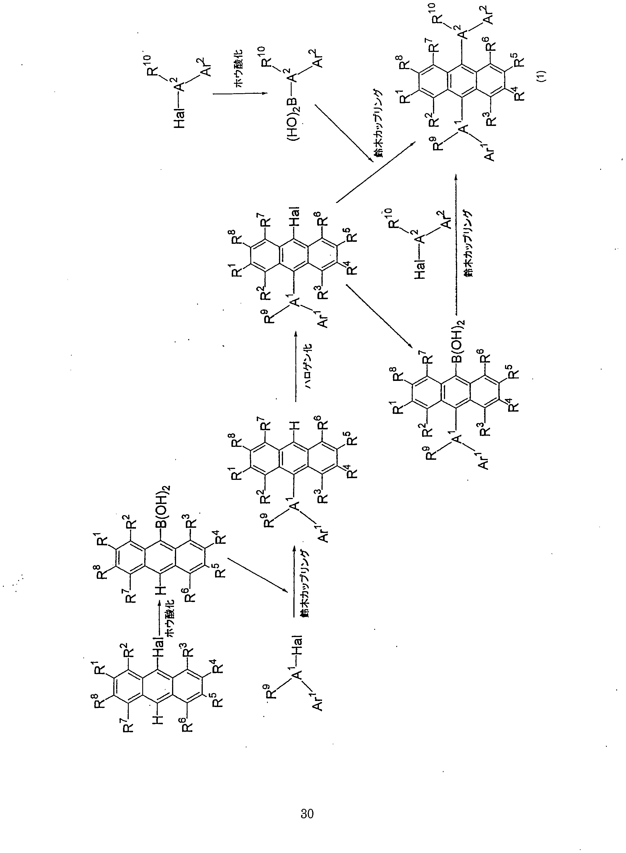 Figure imgf000031_0001