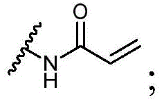 Figure BDA0001754164670000356