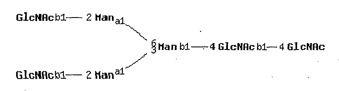 Figure imgf000146_0004