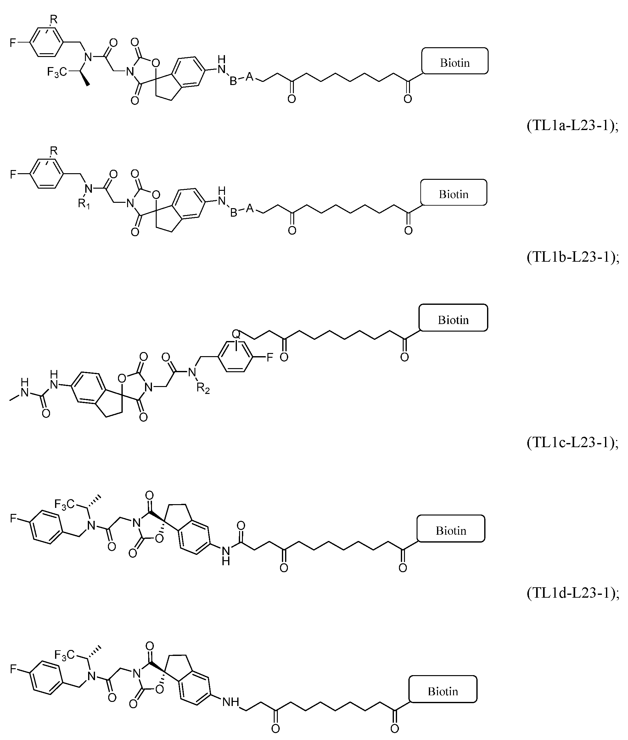 Figure imgf000063_0001