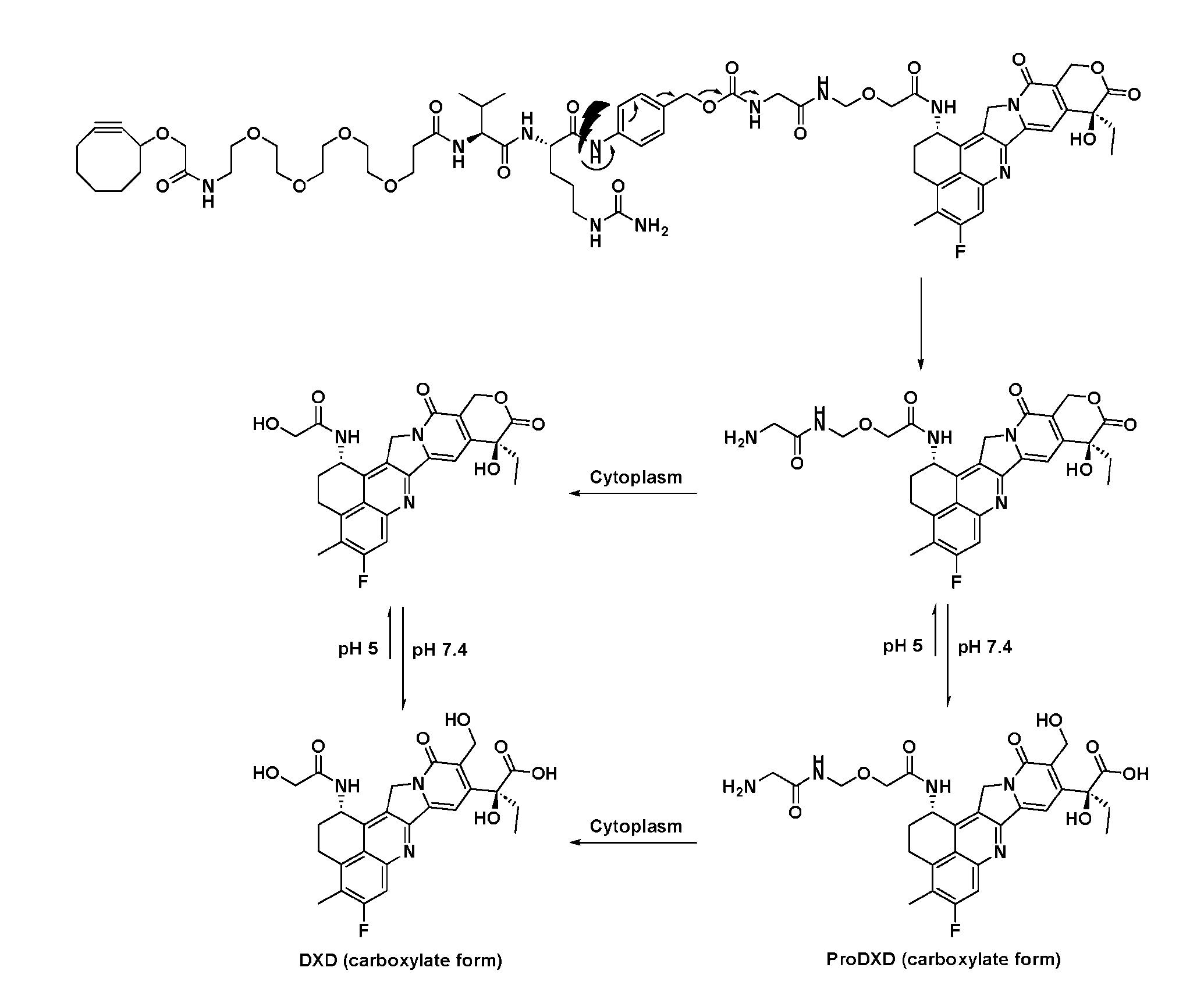 Figure imgf000270_0001