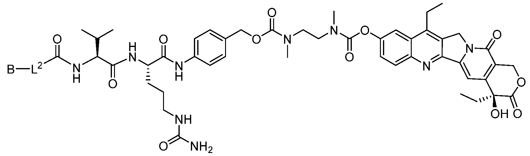 Figure imgf000014_0002