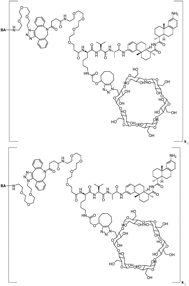 Figure FDA0003169092340000211