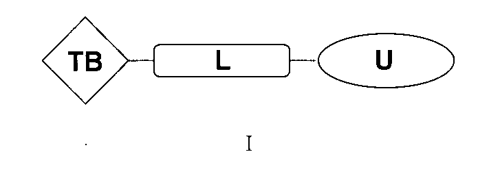 Figure 2022533147000243