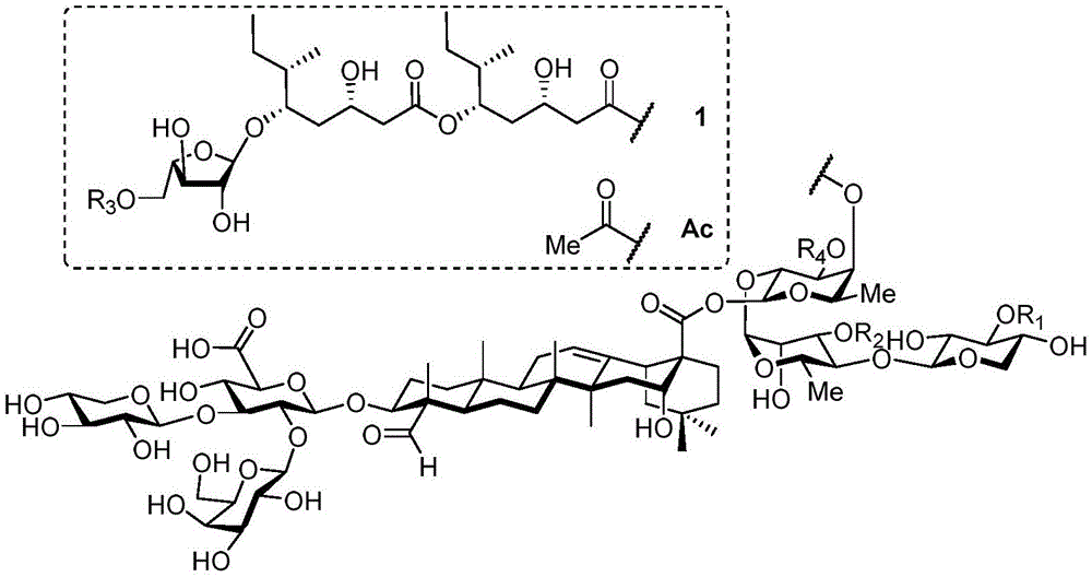 Figure GDA0003437676220000021