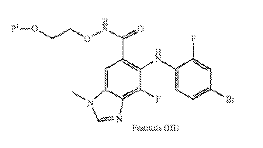 Figure imgf000003_0003