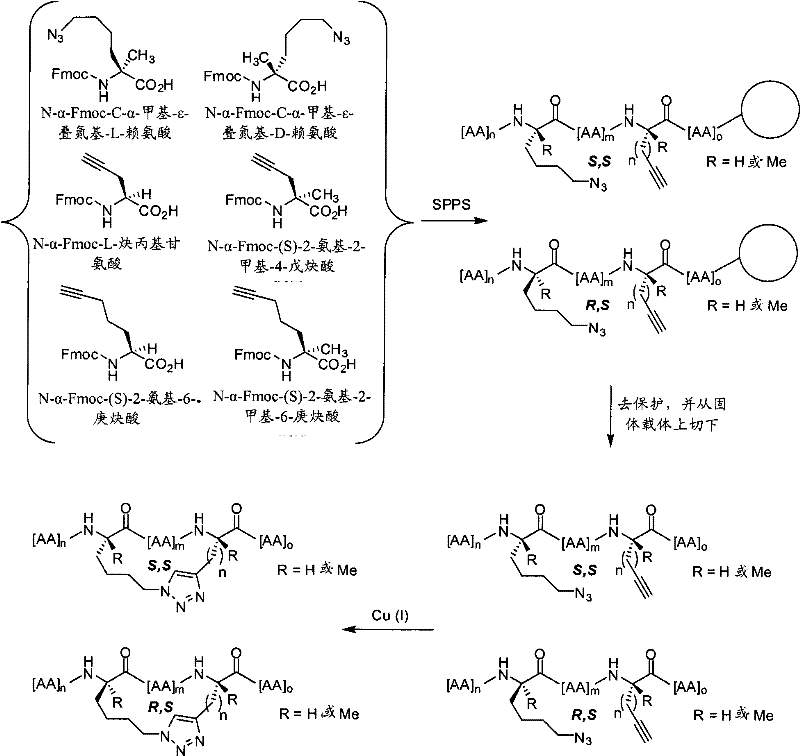 Figure BPA00001350912100441