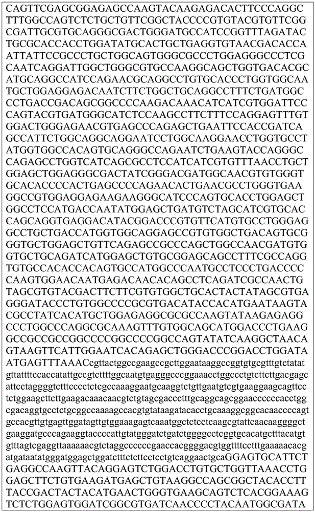 Figure BDA0002872168850001621