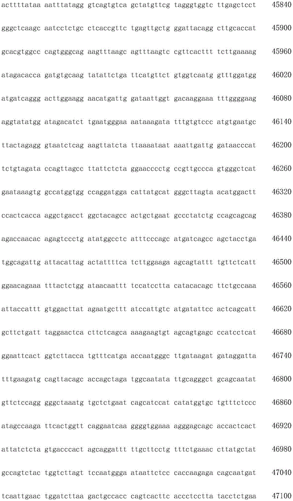 Figure IDA0003936212790001361