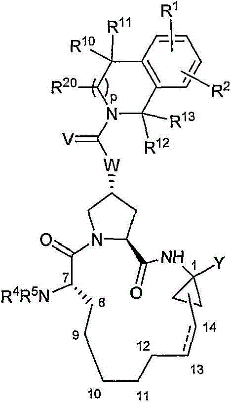 Figure BDA00002766874000091