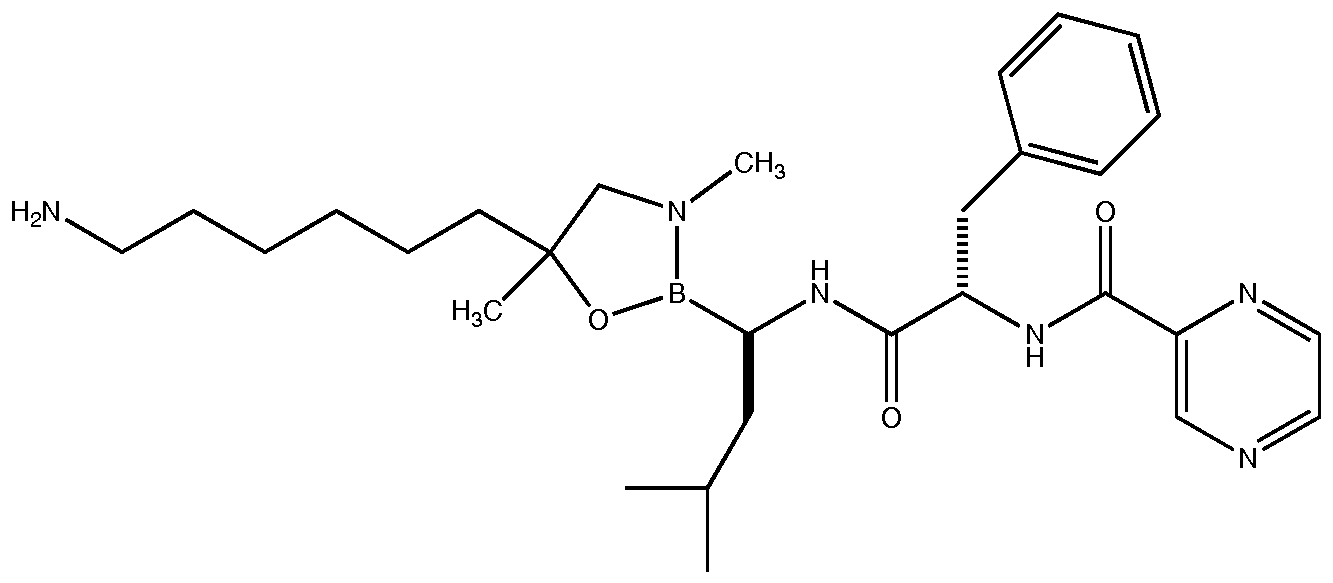 Figure imgf000504_0001