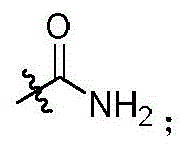 Figure FDA0002921022130000083