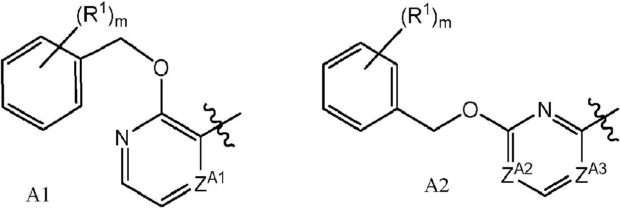 Figure imgf000096_0002