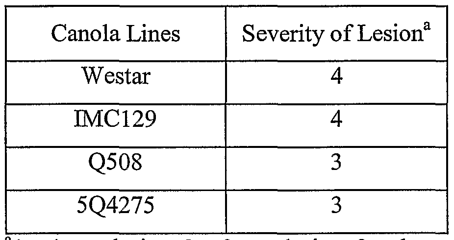Figure imgf000028_0001