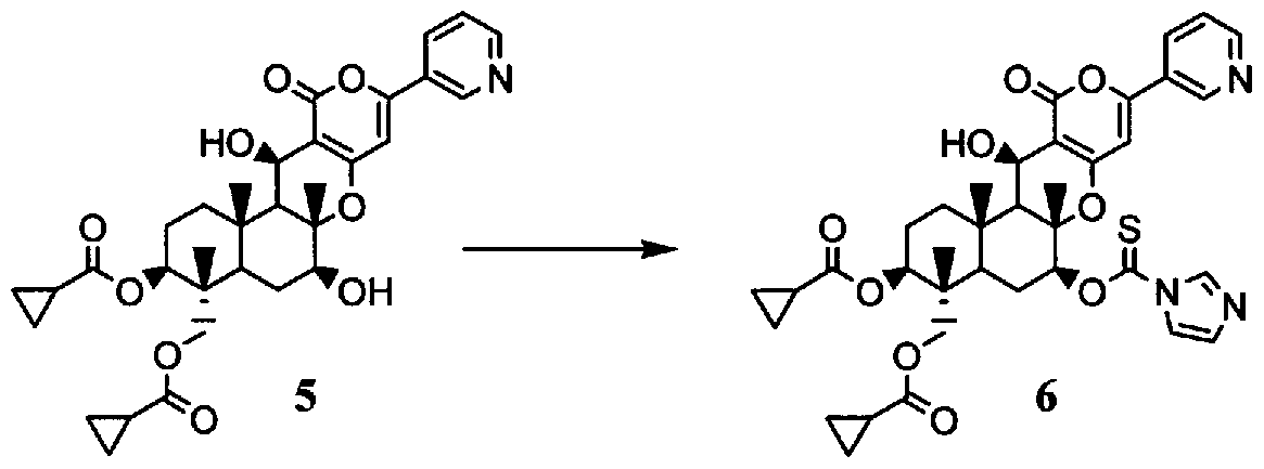 Figure imgf000011_0002