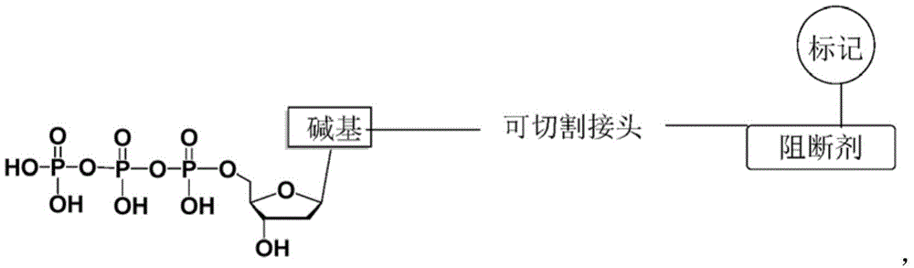 Figure FDA0003538717910000031