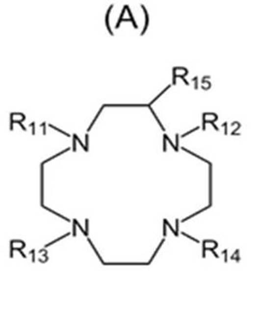 Figure JPOXMLDOC01-appb-C000003
