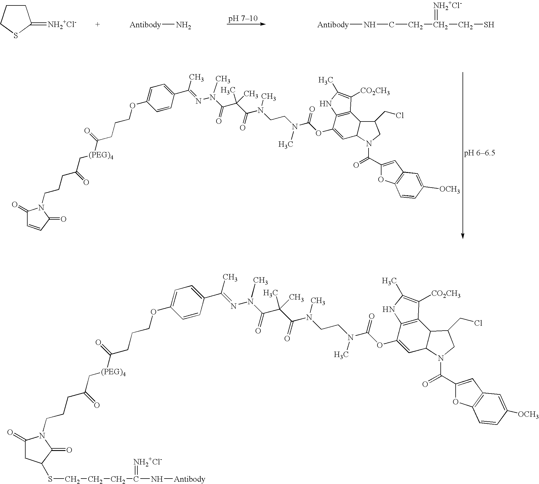 Figure US20060024317A1-20060202-C00115