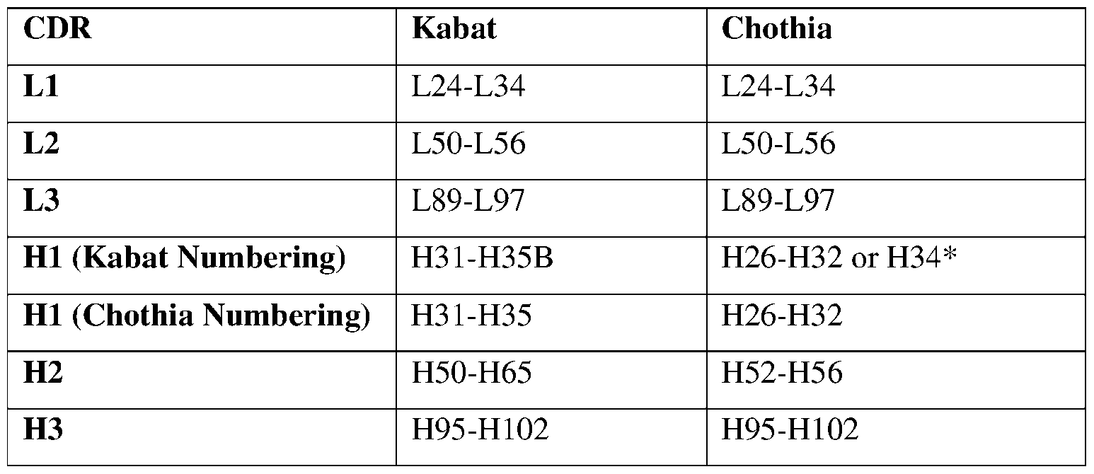 Figure imgf000019_0001