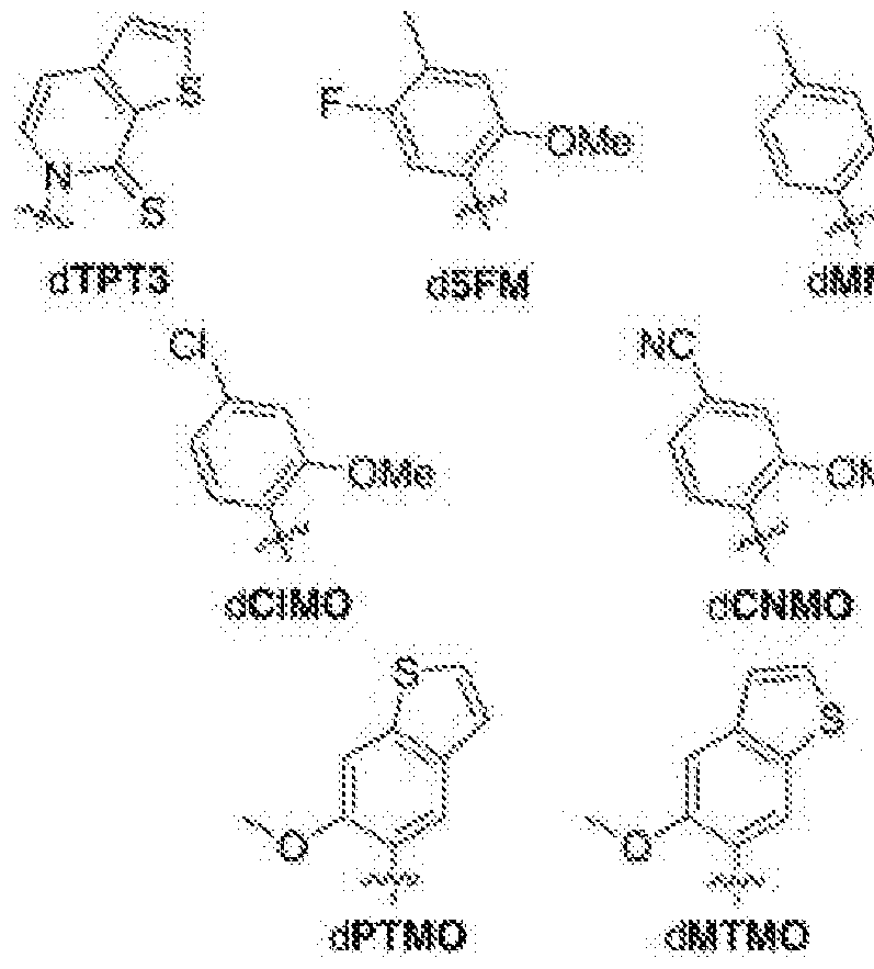 Figure imgf000005_0001