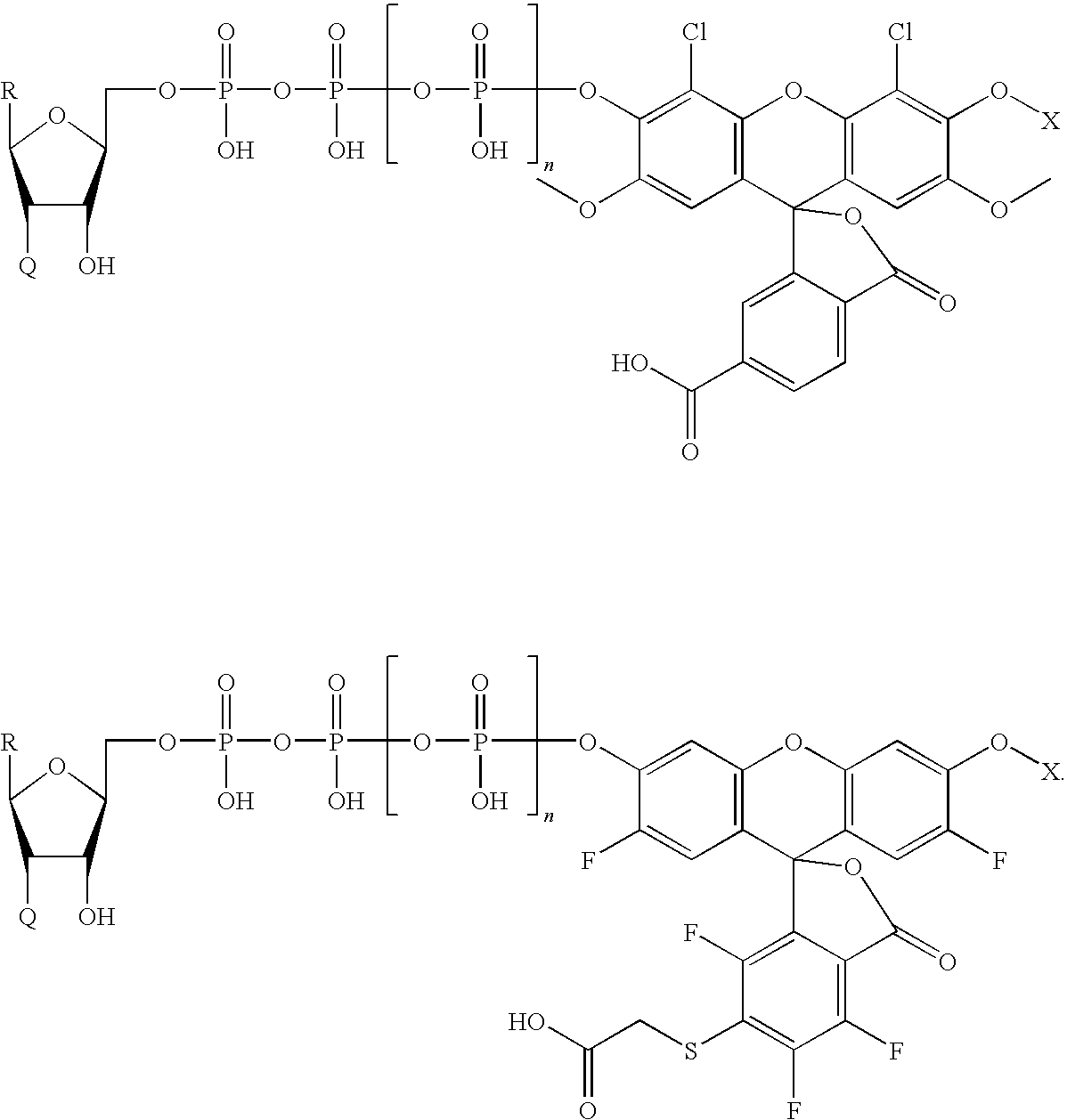 Figure US20100036110A1-20100211-C00042