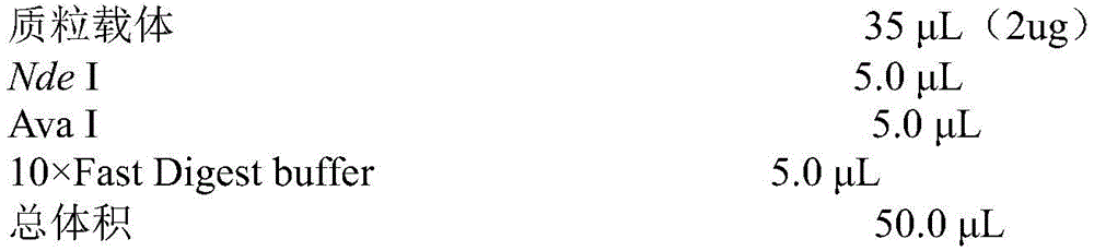 Figure BDA0003637730690000083